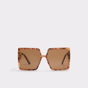 Gafas de Sol Aldo Ybaledia Square Marrones | 2584130-GL