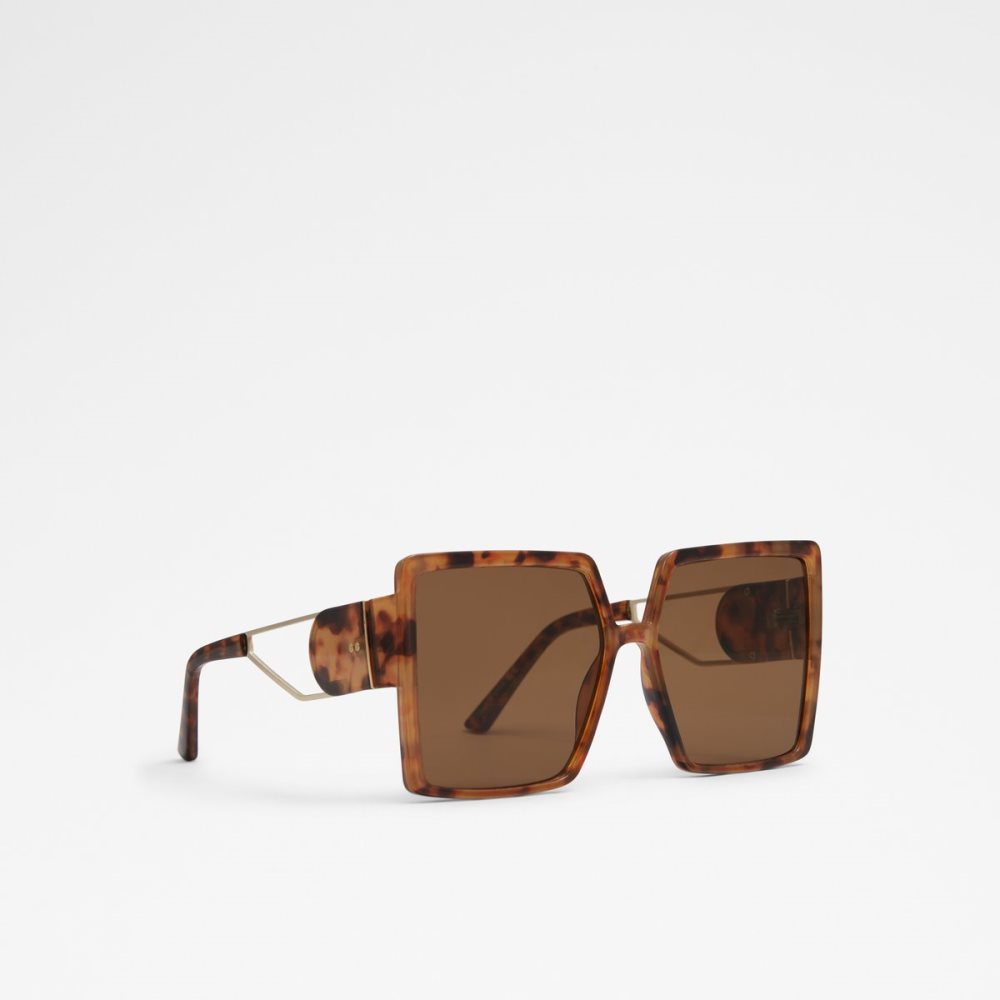 Gafas de Sol Aldo Annerelia Marrones | 4607952-NX