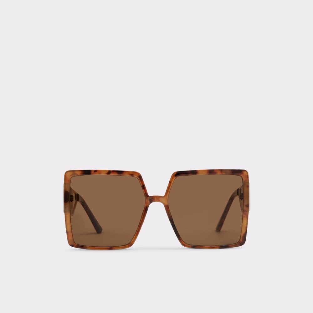 Gafas de Sol Aldo Annerelia Marrones | 4607952-NX