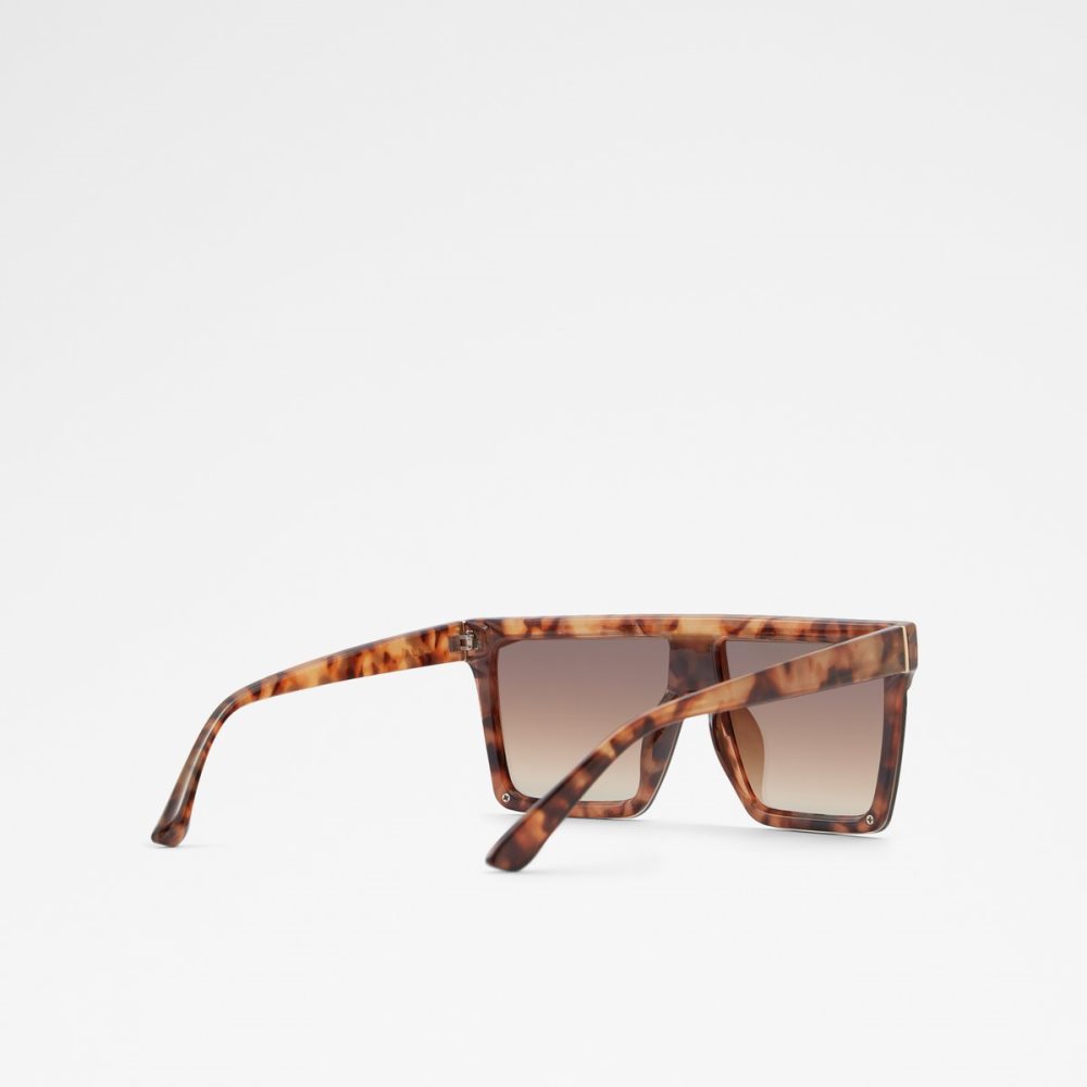 Gafas de Sol Aldo Brightside Shield Marrones | 9023684-CL