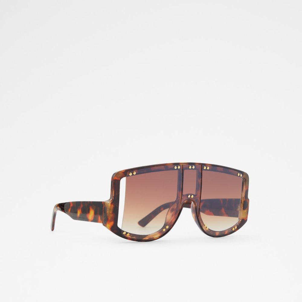 Gafas de Sol Aldo Javabriclya Shield Marrones | 0724981-NS