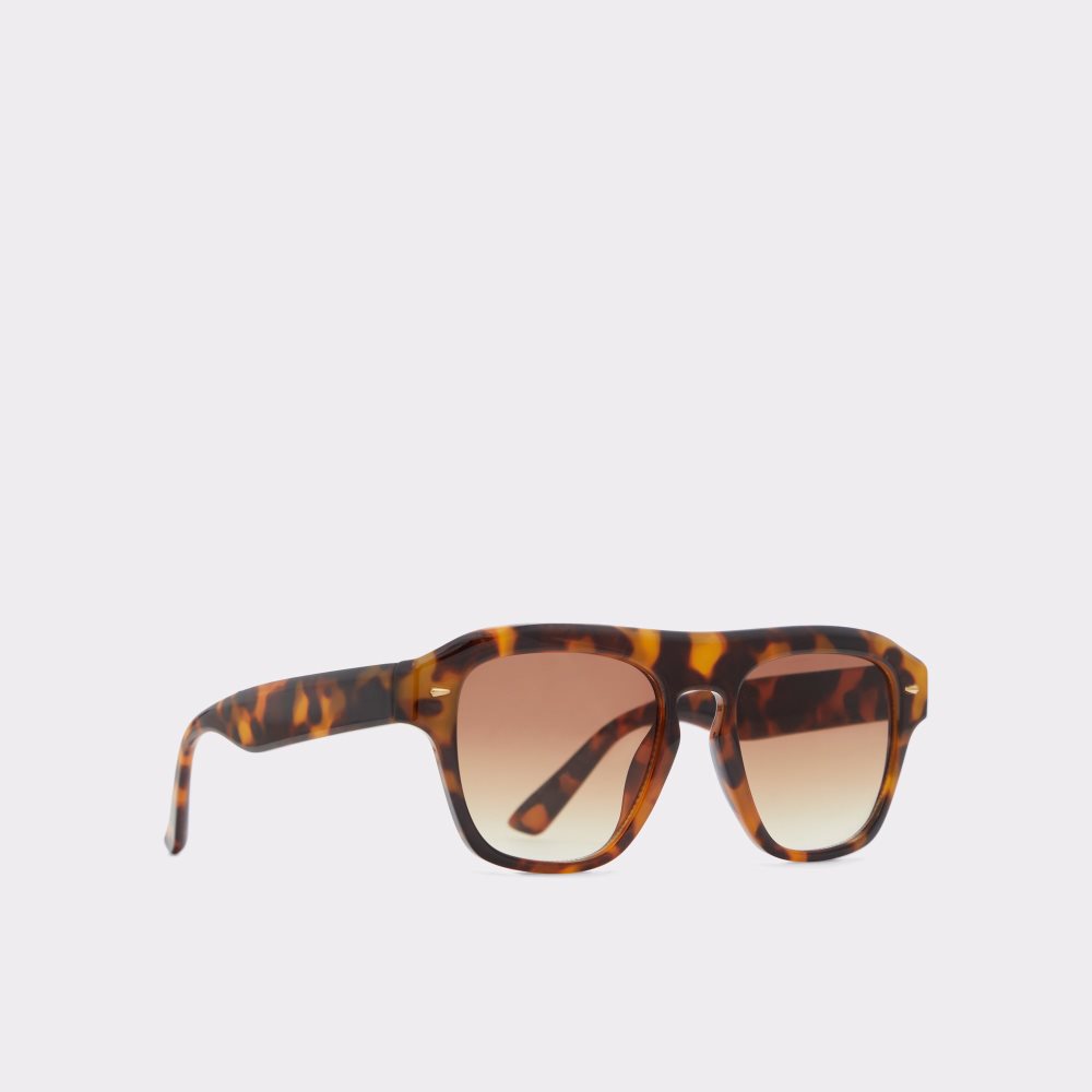 Gafas de Sol Aldo Milicien Marrones | 0293541-MK