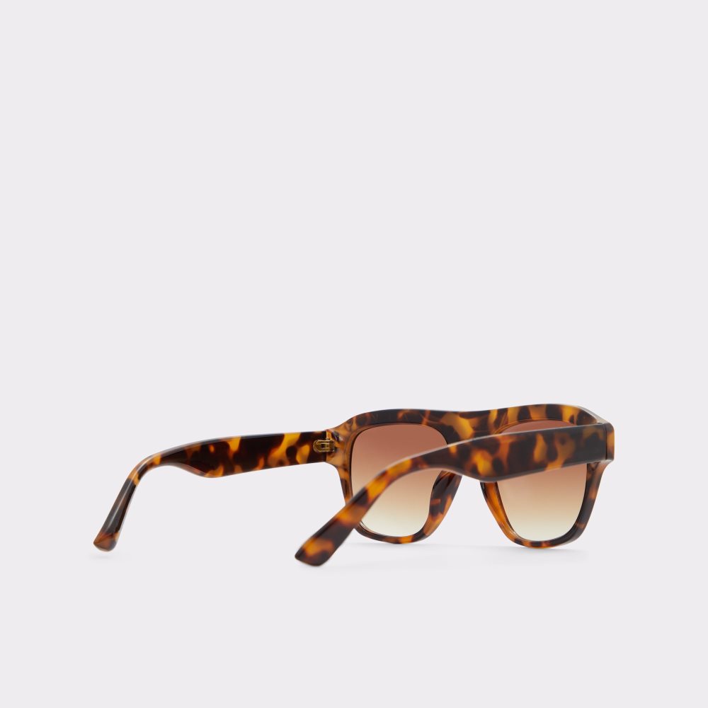 Gafas de Sol Aldo Milicien Marrones | 0293541-MK